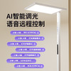 【拍下立减】【抄底清最后一波】【高阶款】大满贯瑶光pro落地护眼大路灯 | 紫光全光谱、0炫光0频闪、智能语音控制、减少环境光差、光源均匀柔和【HZ】 商品缩略图1