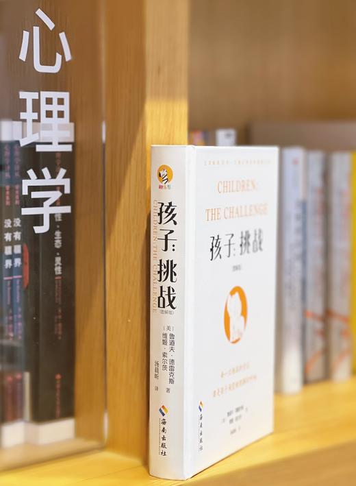 孩子：挑战（图解版）34条教养新原则，200多个代表性案例，育儿问题都有答案，实操性强 商品图1