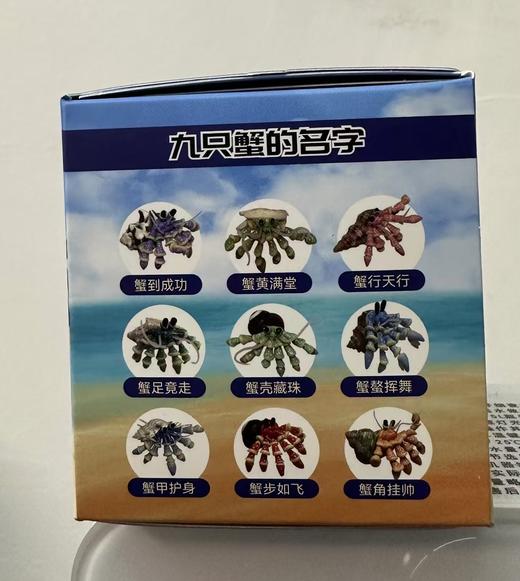 腾悦软陶艺术馆 （寄居蟹盲盒） 商品图2