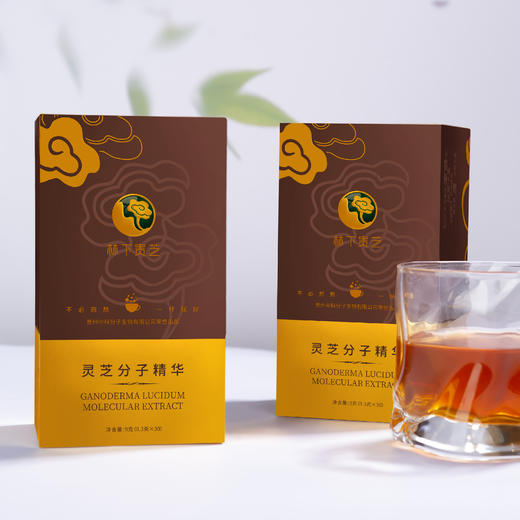 灵芝分子精华固体饮料0.3g*30条/盒 商品图1