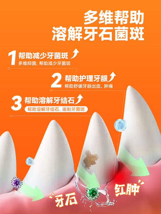 普安特猫咪洁牙狗狗口臭牙结石宠物牙齿清洁牙菌斑非洁齿水爱素拉 商品图4