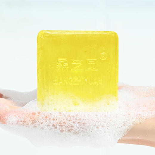 【桑芝园】桑黄润肤精华皂 手工皂 男女洗澡沐浴皂 洗手香皂 商品图2
