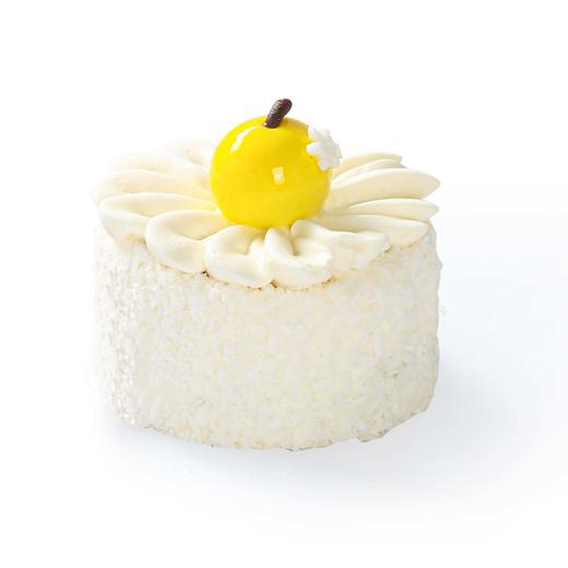 圣诞小雏菊 商品图0