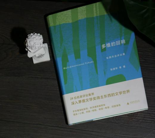 多维的回响：东西作品评论集 商品图1