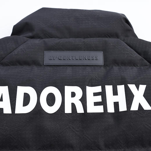 【新品上新】HX 冬季短款立领羽绒服Z100440009101/02 商品图7