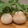 有种的有机水果南瓜 真正有种的人，遇到再“南”的事情也能扛过去 商品缩略图2