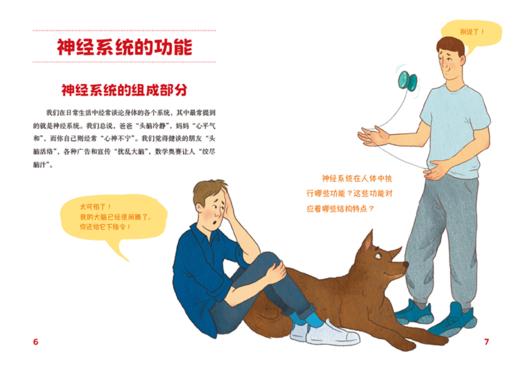 认识我们的身体-神奇的大脑与神经+神奇的人体之旅 商品图2