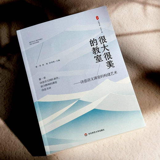 很大很美的教室 诗意语文课堂的构建艺术 大夏书系 董一菲 胡艳 孙奇峰 语文之道 教师成长 商品图4