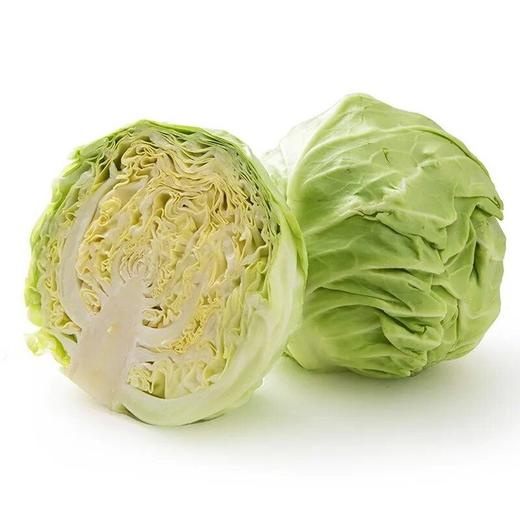 精包大头菜（800±100g）圆白菜 商品图0