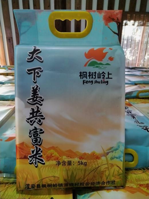 助农！“大下姜”粮油米面类 共富生态米10斤装/淳安山茶油 商品图1