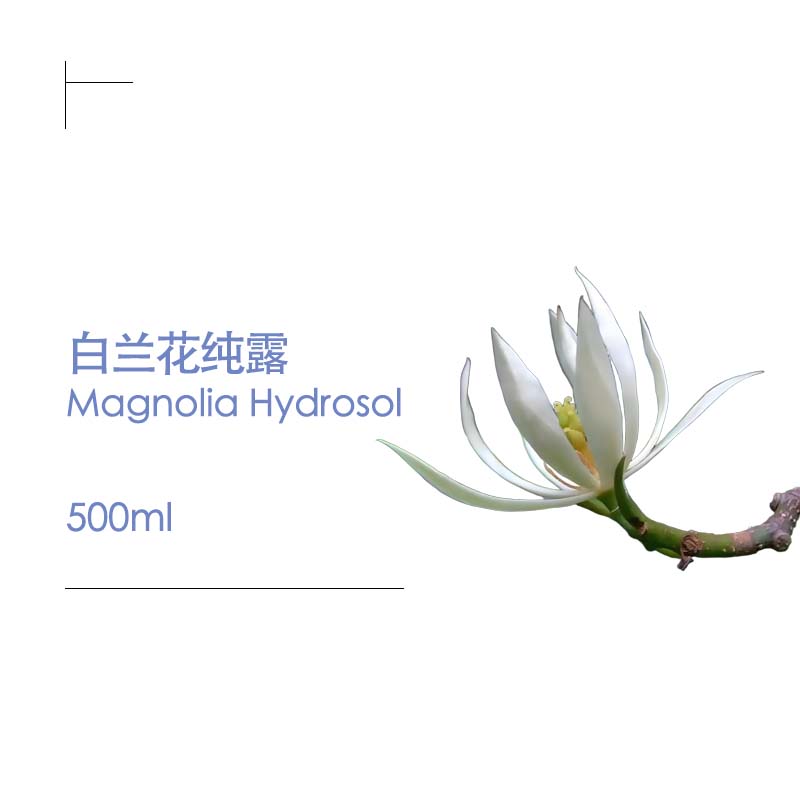 白兰花纯露