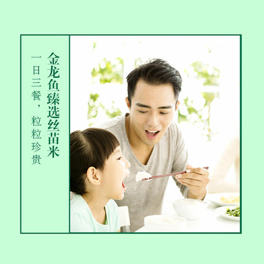 金龙鱼臻选丝苗米5kg 商品图2
