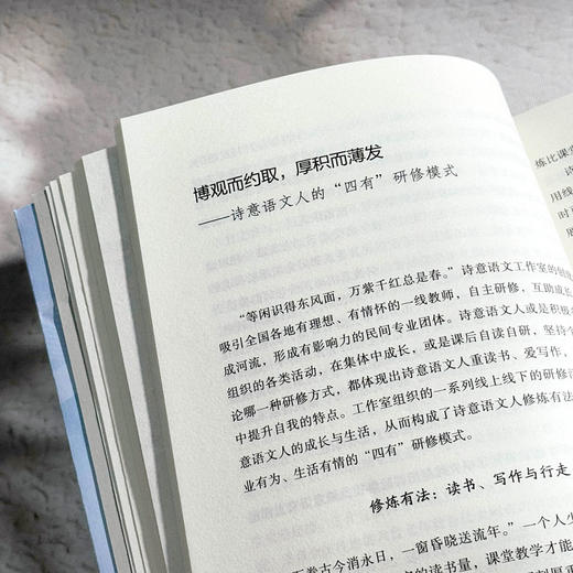 很大很美的教室 诗意语文课堂的构建艺术 大夏书系 董一菲 胡艳 孙奇峰 语文之道 教师成长 商品图9