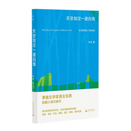 天空划过一道白线: 东西短篇小说精选 东西/著 茅盾文学奖 商品图0