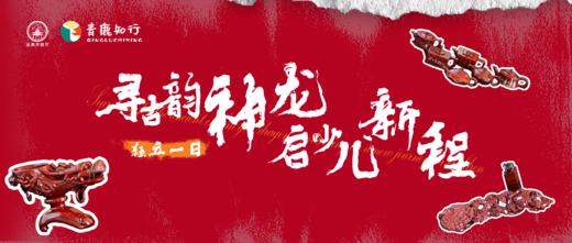 元旦活动招募 | 寻古韵神“龙”，启少儿新程 : 古镇寻“龙”大挑战，解锁年俗文化密码！ 商品图0