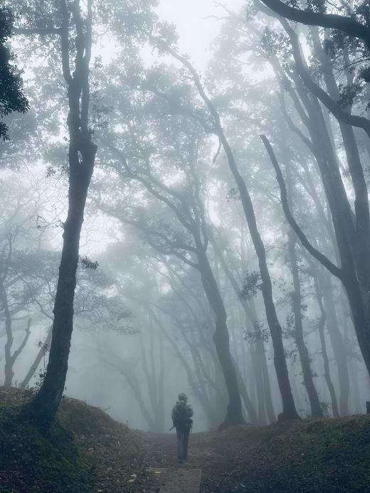 成人徒步 | 12.28周日寻甸密枝林，走入昆明的魔幻迷雾森林！ 商品图2