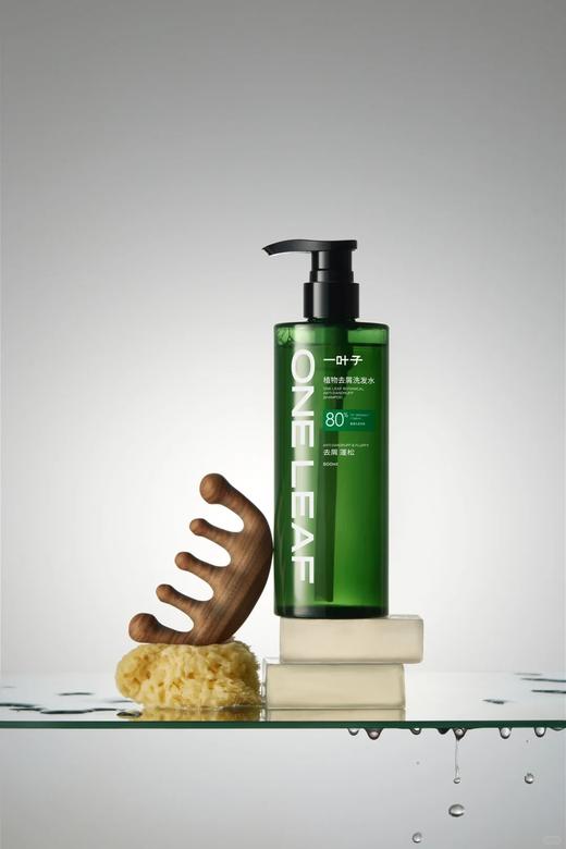 一叶子植物控油洗发水500ML 商品图1