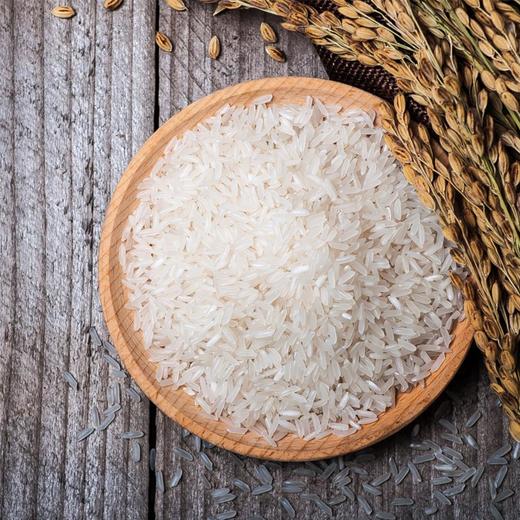 挂荔优选丝苗米5kg 商品图2