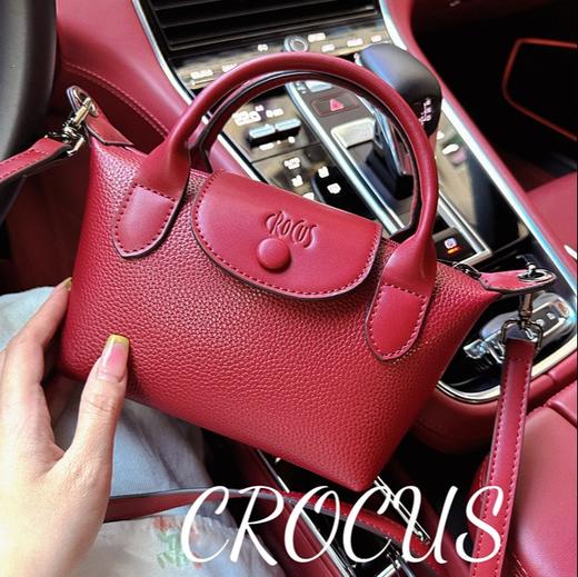 【预售10天！！】Crocus 2025新款百搭戛纳风情手提包日常通勤时尚多款可选高级感斜挎包 商品图3