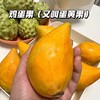 海南鸡蛋果 |水果 商品缩略图0
