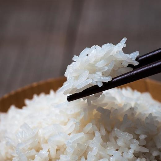 挂荔优选丝苗米5kg 商品图4