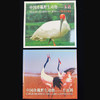 【康银阁装帧】1997年野生珍稀动物朱鹮、丹顶鹤纪念卡币 商品缩略图0