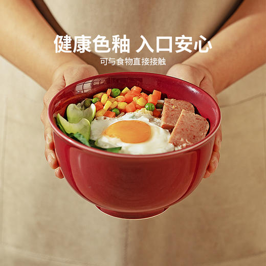 摩登主妇Mellow拉面碗汤碗家用2024新款泡面碗餐具汤面碗吃面条碗 商品图1