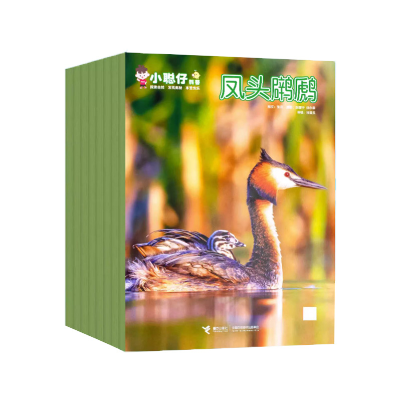 【订全年送历史宝盒+故事乐园会员】小聪仔（科普版）3~7岁幼儿童科普百科科学探索智力开发启蒙
