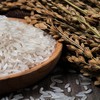 挂荔优选丝苗米5kg 商品缩略图3