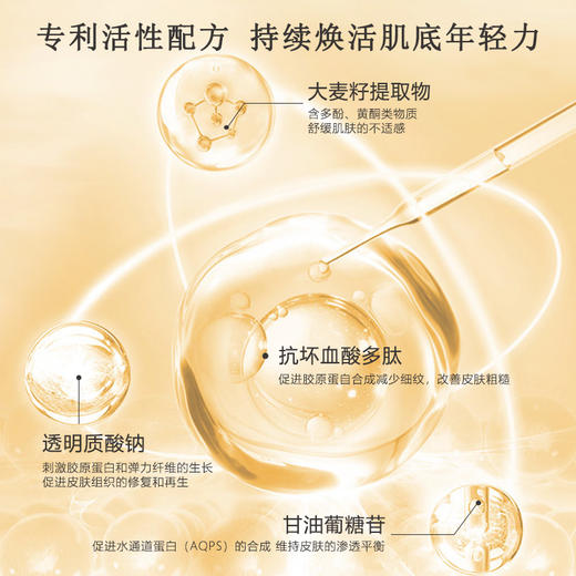 嘉顿肯妮活妍再生系列美容院正品直发补水保湿修护舒缓肌肤 商品图3