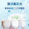 【飞利浦】电动牙刷 31000次/分钟强劲震频升级马达 高效清洁 3种模式 清除牙菌斑 HX2408/01 商品缩略图1
