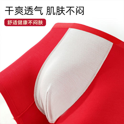 雅黛丽本命年男士内裤大红色结婚礼物平角四角短裤高弹透气短裤头 商品图2