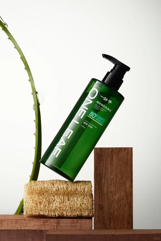 一叶子植物控油洗发水500ML 商品图2