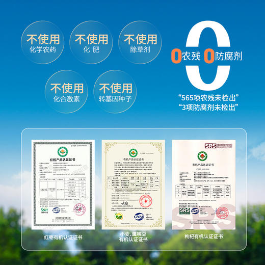 羊肚菌珍灵全养餐冲调粉 商品图1