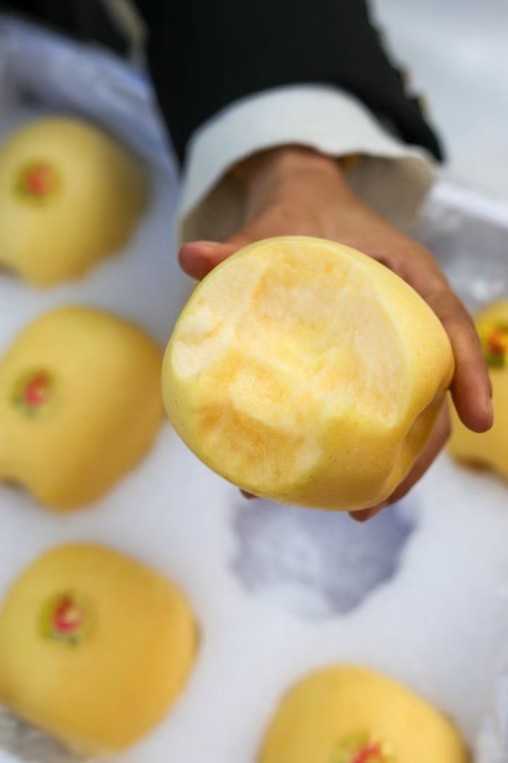 正宇农场黄金维纳斯苹果，交杂着香蕉/牛奶复合型香味，口感松脆