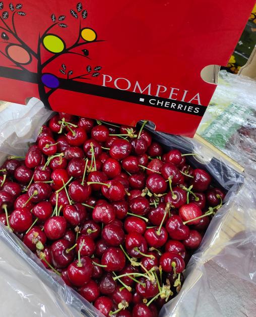 小树车厘子一箱5斤 商品图1