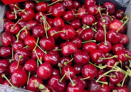 小树车厘子一箱5斤 商品图2