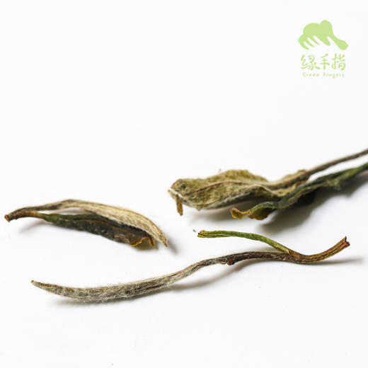 生态福鼎白茶·白牡丹、寿眉 | 合作生产 *Eco-fuding white tea | Partner Production 商品图4