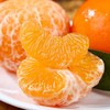 【宜昌助农馆】清甜皮薄沃柑  新鲜时令蔬果中大果 年货柑橘 商品缩略图2