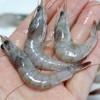 【斌哥优选】小海虾。嫩到连壳都可以一起吃。虾青素比普通虾高出20%~。肉质鲜嫩，味道鲜美，蛋白质高。 商品缩略图2
