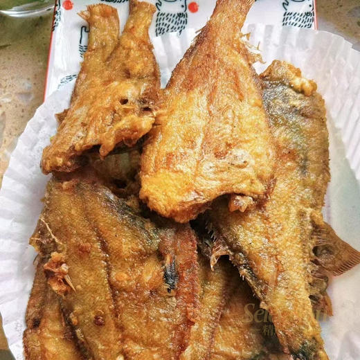 黄渤海冷水三去海杂鱼，银鲳鱼、红头鱼、尾鱼、 偏口鱼、带鱼段、白菇鱼，6种海鱼随意混搭4种（不接受指定） 商品图3