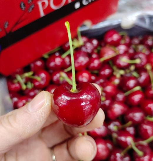 小树车厘子一箱5斤 商品图0