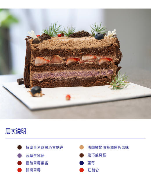 冬夜山行（黑巧·草莓·鲜乳·蓝莓） 商品图1