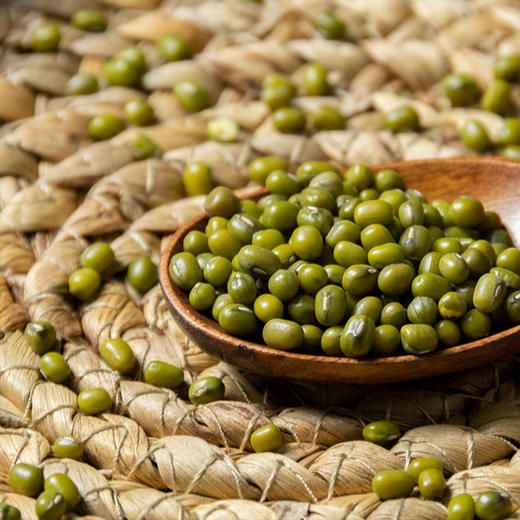 【安第斯藜】绿豆500g/包*2 手工挑选 颗粒饱满 商品图1