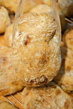 现烤面包—帕斯雀青酱牛肉恰巴塔