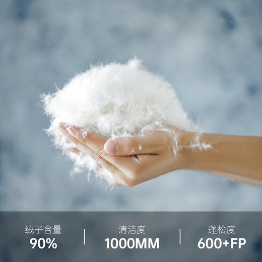 工装优选 美式双面穿绗缝羽绒服白鸭绒百搭立领保暖面包服外套男冬 商品图3