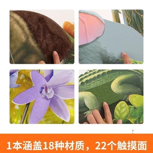 那么大地板 商品图4