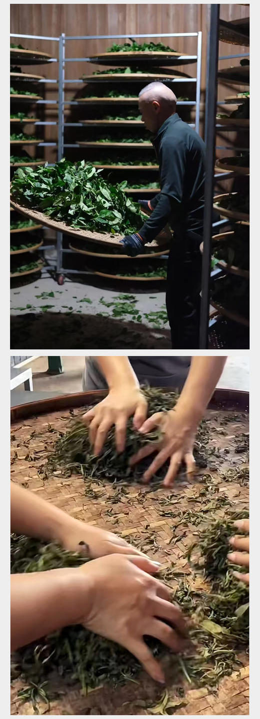 武夷核心正岩 奇兰 荔枝木碳焙 6泡*8.3克 约50克 商品图9