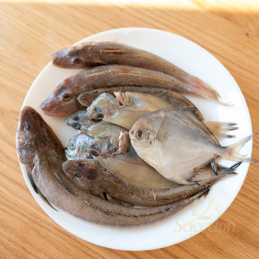 黄渤海冷水三去海杂鱼，银鲳鱼、红头鱼、尾鱼、 偏口鱼、带鱼段、白菇鱼，6种海鱼随意混搭4种（不接受指定） 商品图2