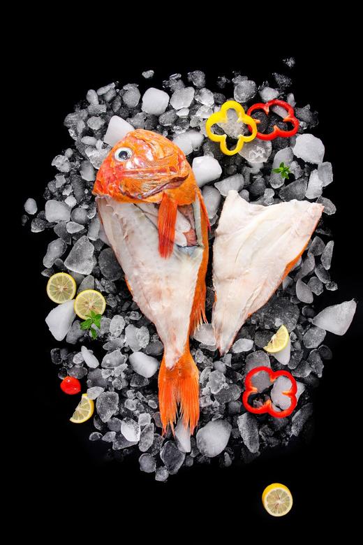 生鲜礼盒【长寿鱼礼盒】一盒一条约2000–2500克 年年有鱼海鲜礼盒 深海海鱼 好寓好 刺少 青岛顺丰/京东发货 {冷冻生鲜请及时签收} 商品图5